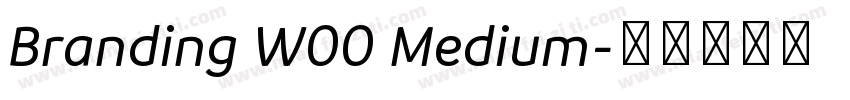 Branding W00 Medium字体转换